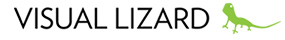 visualLizard